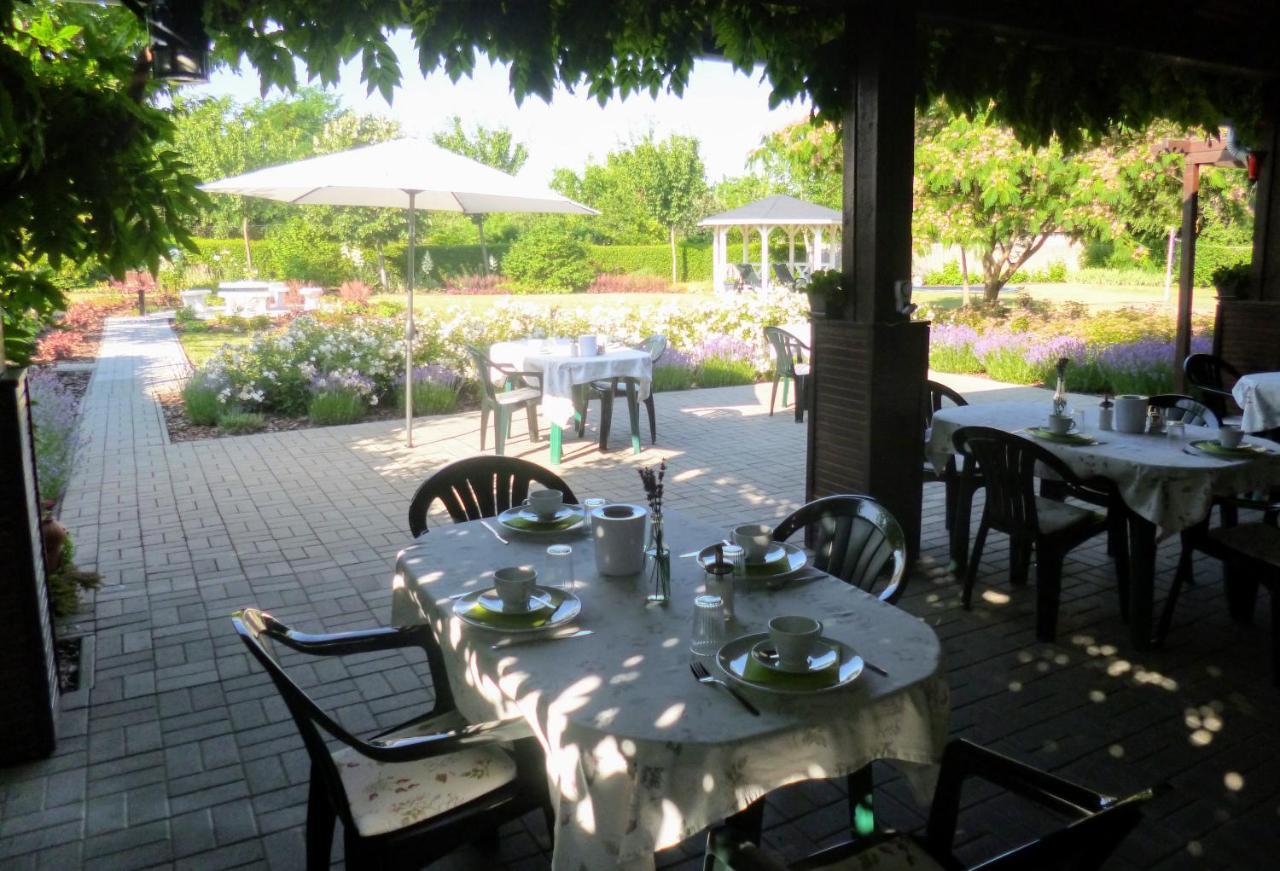 Tisza Lodge B&B - Panzio Tiszaderzs 외부 사진